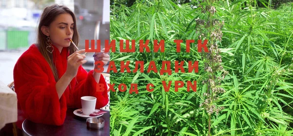 бошки Надым