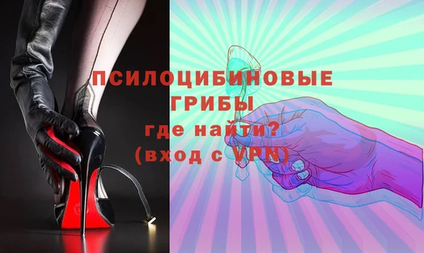 бошки Надым