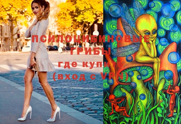 бошки Надым
